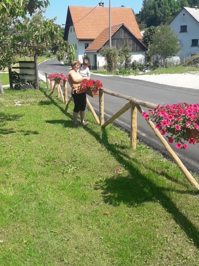 Turisticna Kmetija Pr Mark Trebce Esterno foto